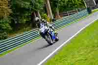 cadwell-no-limits-trackday;cadwell-park;cadwell-park-photographs;cadwell-trackday-photographs;enduro-digital-images;event-digital-images;eventdigitalimages;no-limits-trackdays;peter-wileman-photography;racing-digital-images;trackday-digital-images;trackday-photos